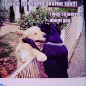 Meet your Posher, Sandra